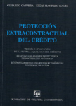 Protección extracontractual del crédito vignette